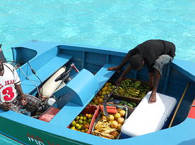 Isole Grenadine in catamarano